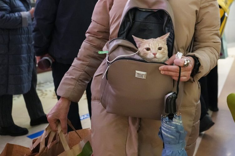 Mon. 8:57 a.m.: Russians go back to work but virus cases, deaths stay high